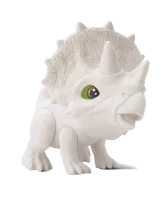 24855